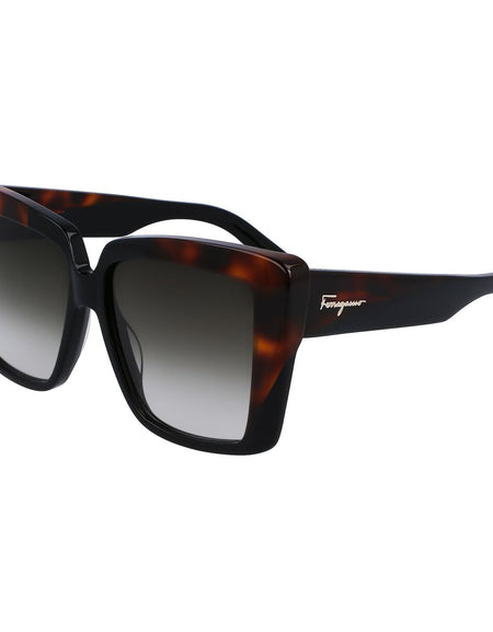 Ladies' Sunglasses Salvatore Ferragamo SF1060S-6 Ø 55 mm-1