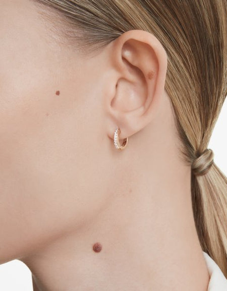 SWAROVSKI Mod. 5690669-1