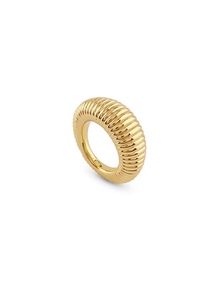 Mod. JUBR05336JWYG56-0