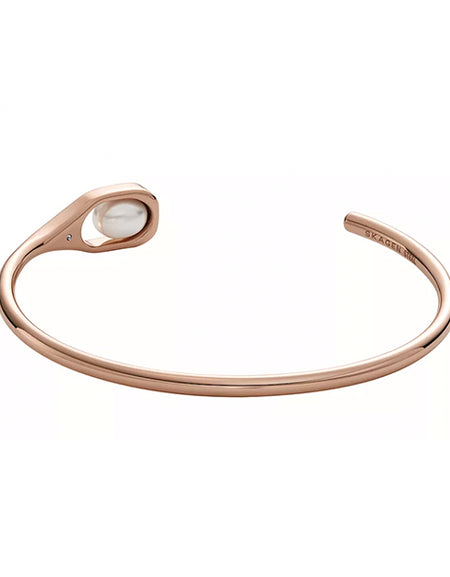 SKAGEN DENMARK JEWELS JEWELRY Mod. SKJ1748791-1