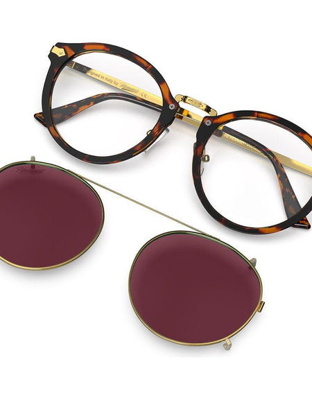 Vintage Raider Clip S2