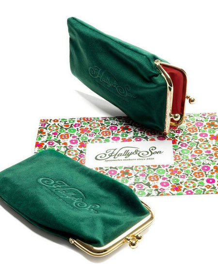 Ladies'Sunglasses Hally & Son HS746S02 ø 49 mm