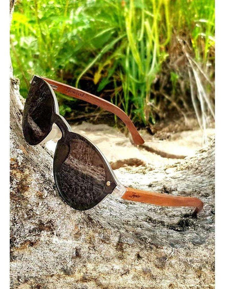 Eyewood Tomorrow - Orion