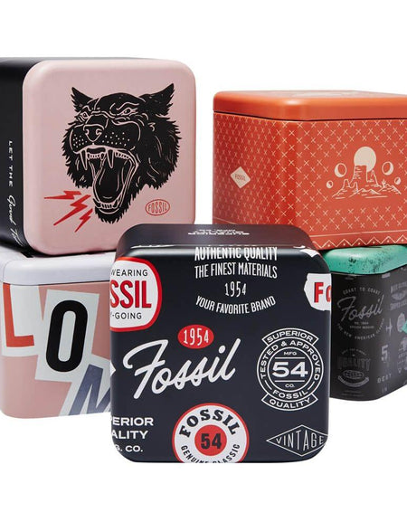 FOSSIL Mod. FB - 01-1