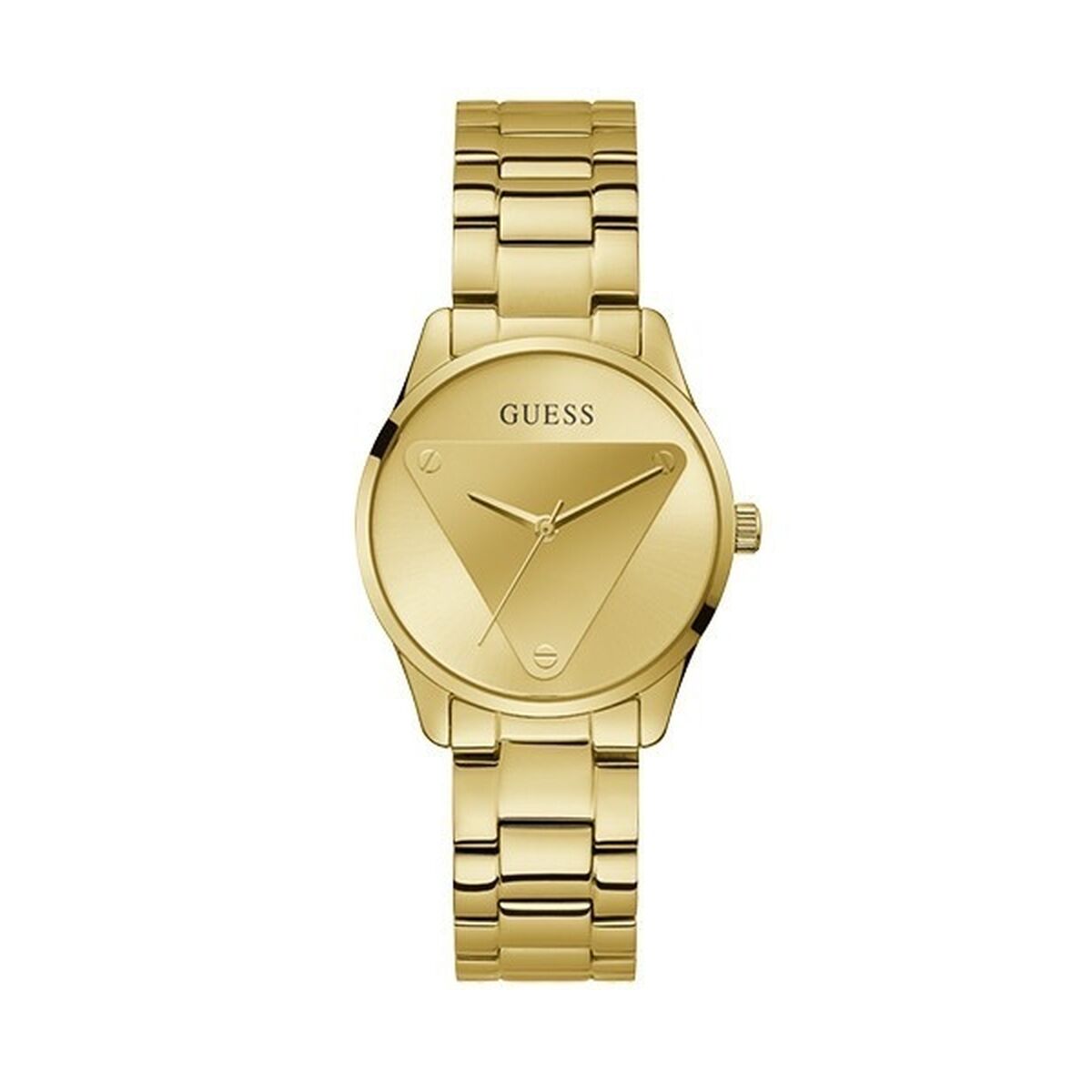Ladies' Watch Guess (Ø 36 mm)-0