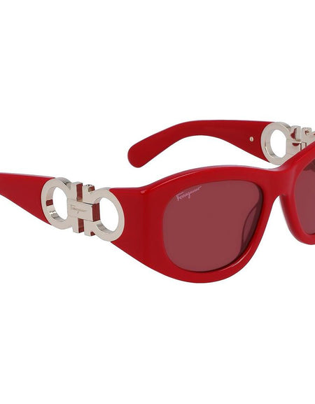 Ladies' Sunglasses Salvatore Ferragamo SF1082S-5319600 Ø 53 mm-1