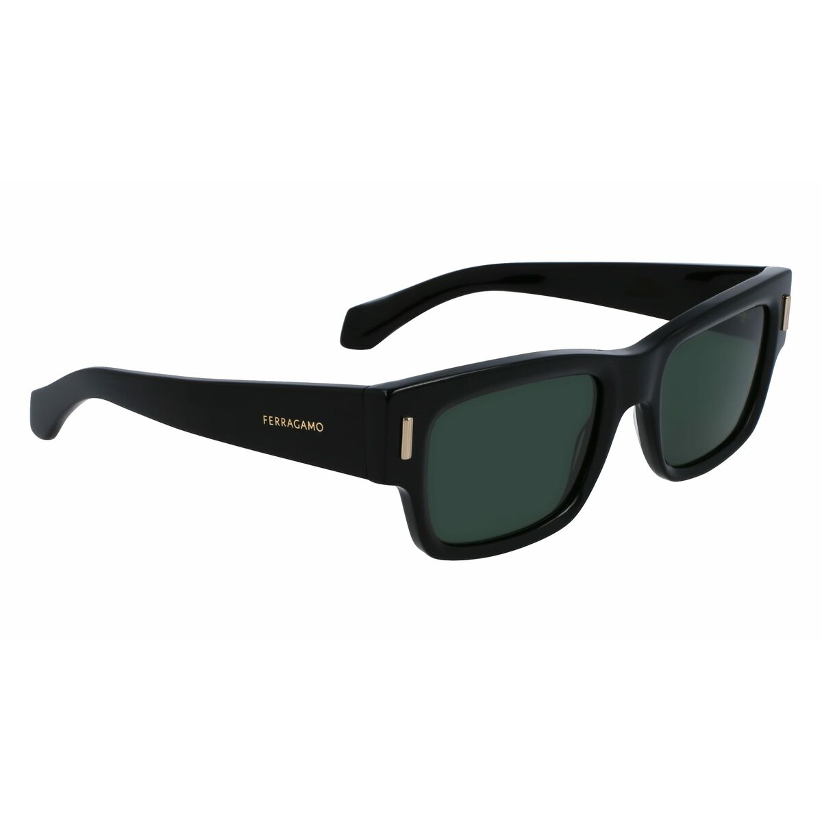 Men's Sunglasses Salvatore Ferragamo SF2011S-001 Ø 53 mm-1