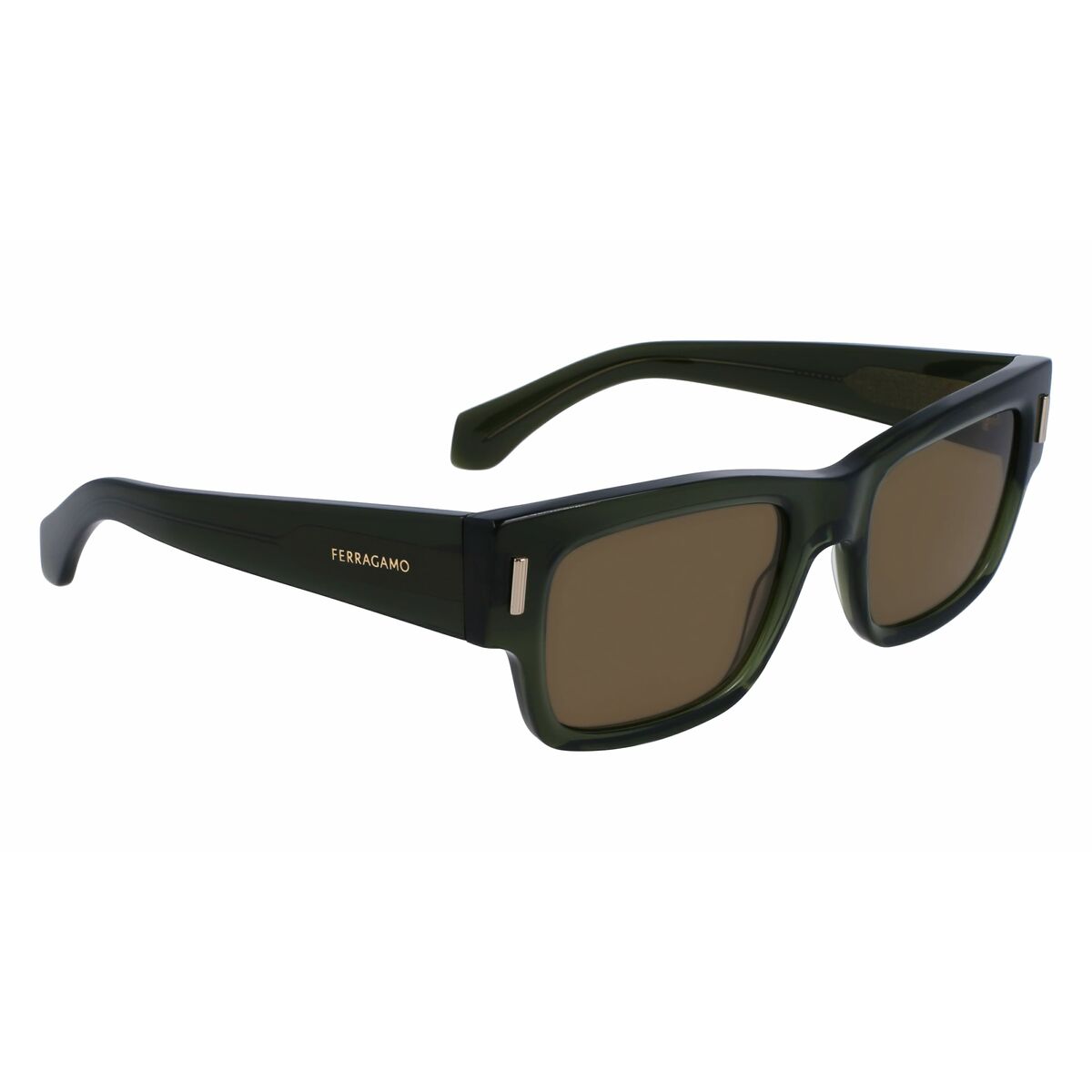 Men's Sunglasses Salvatore Ferragamo SF2011S-320 Ø 53 mm-1