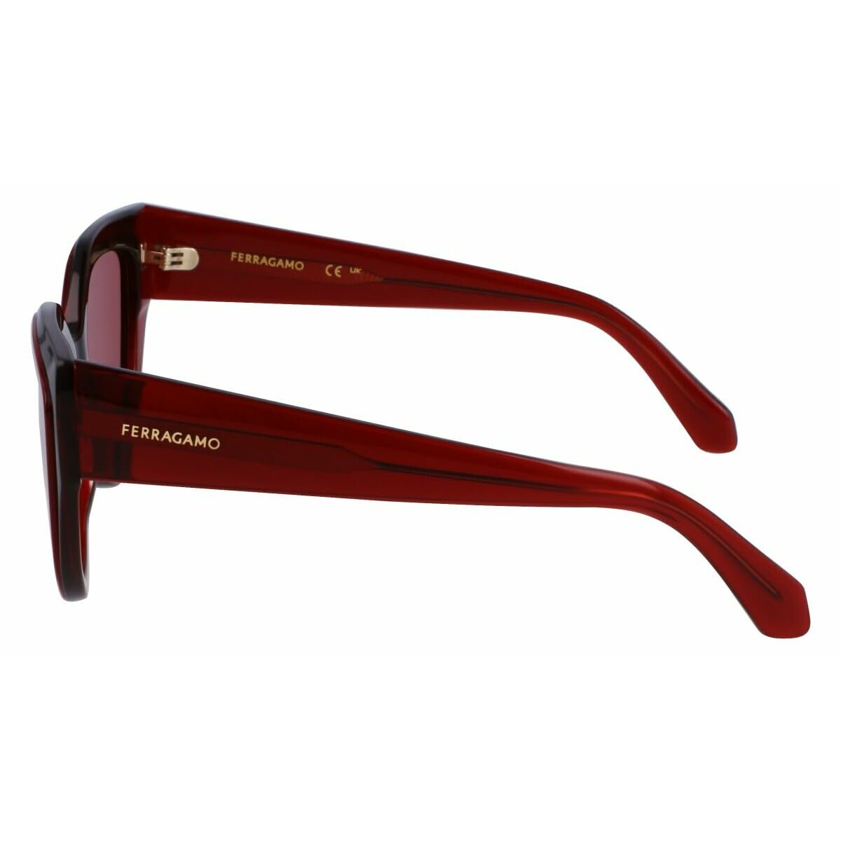 Ladies' Sunglasses Salvatore Ferragamo SF2004S-618 Ø 53 mm-3