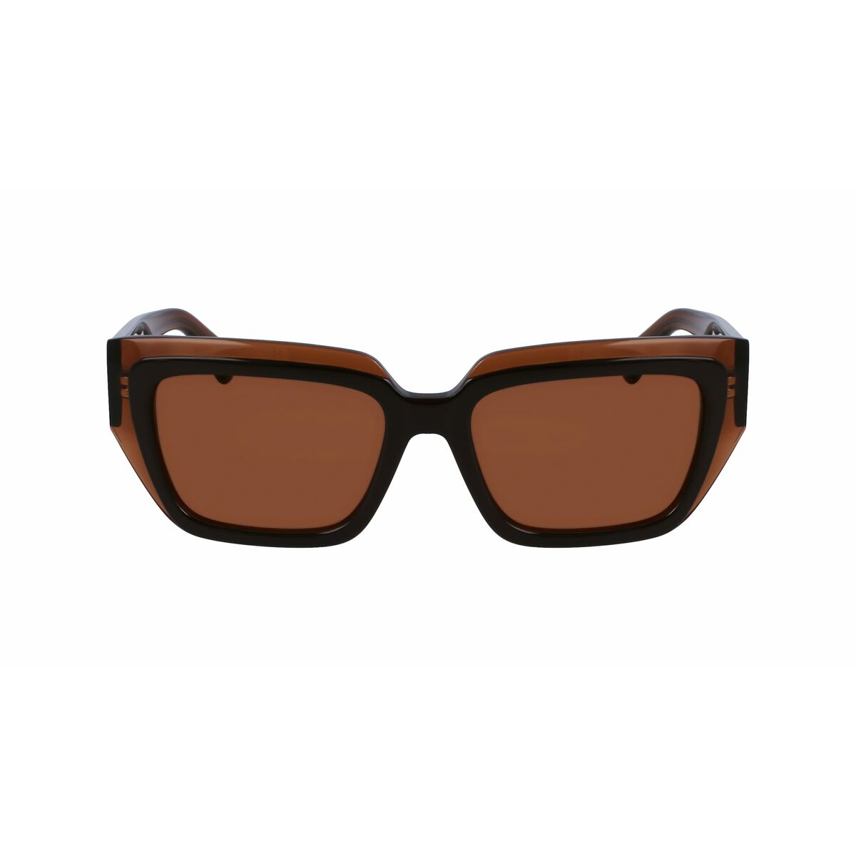 Ladies' Sunglasses Salvatore Ferragamo SF2002S-233 Ø 55 mm-2