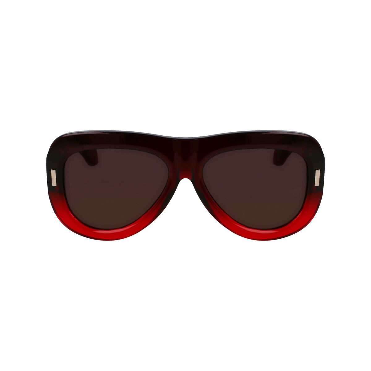 Ladies' Sunglasses Salvatore Ferragamo SF2029SE-615 ø 57 mm-4