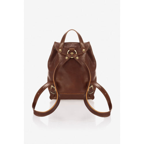 Load image into Gallery viewer, 1018 Brown Bag - A Designer Italian Handbag
