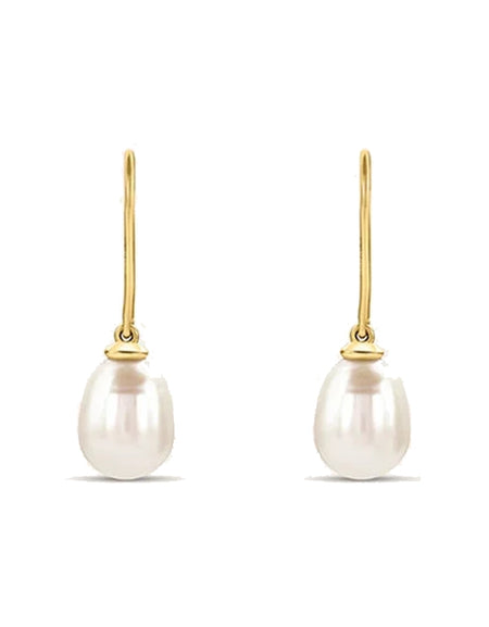 STROILI Mod. 1433772-0