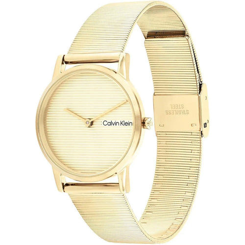 Load image into Gallery viewer, CK Calvin Klein WATCHES Mod. 25100035-1
