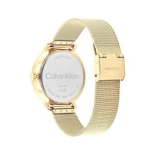 Load image into Gallery viewer, CK CALVIN KLEIN NEW COLLECTION WATCHES Mod. 25200403-2
