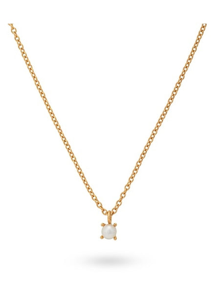 24KAE JEWELS JEWELRY Mod. 32405Y-0