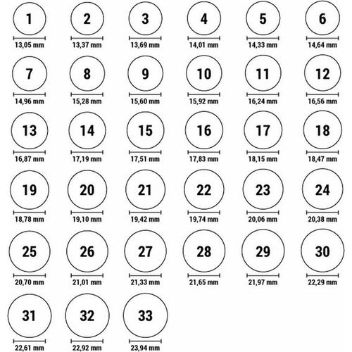 Load image into Gallery viewer, Men's Ring Guess JUMR02115JWSTBK64 (24)-4
