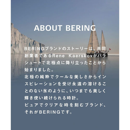 Load image into Gallery viewer, Ladies' Watch Bering 14528-307 (Ø 28 mm)-7
