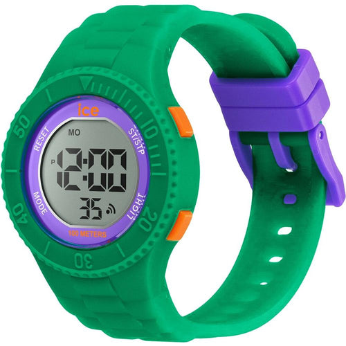 Load image into Gallery viewer, Unisex Watch Ice 021616  (Ø 35 mm)-3

