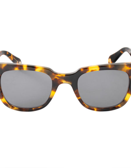 Ladies' Sunglasses Belstaff TALBROOK-S205 Ø 50 mm-1