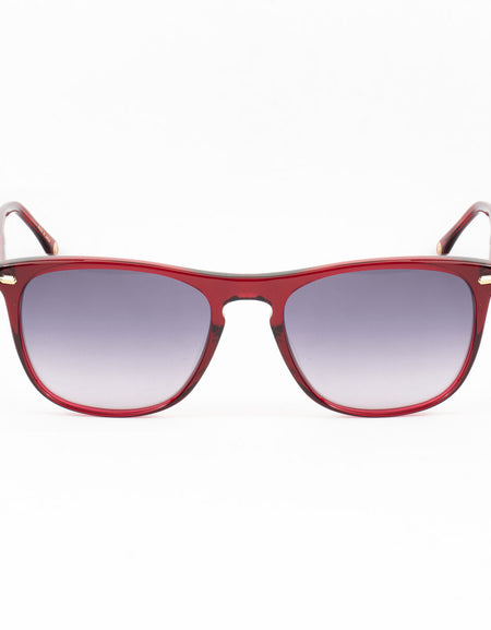 Ladies' Sunglasses Belstaff MERIDIAN-II-S171 Ø 55 mm-1