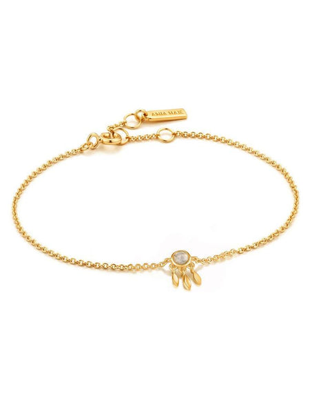 Ladies' Bracelet Ania Haie B026-02G 19 cm-0