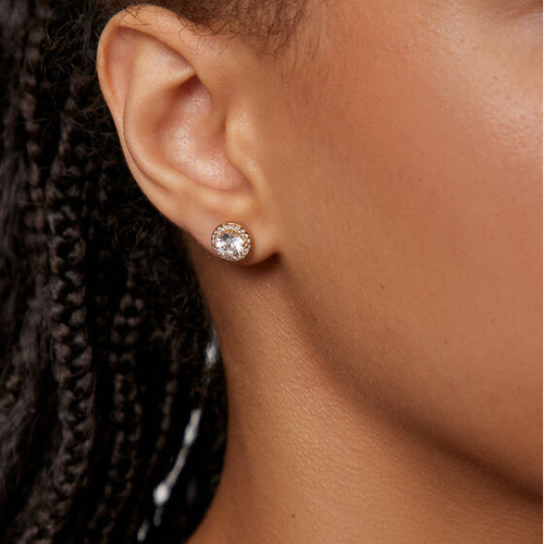 Load image into Gallery viewer, SWAROVSKI Mod. 5686637-1
