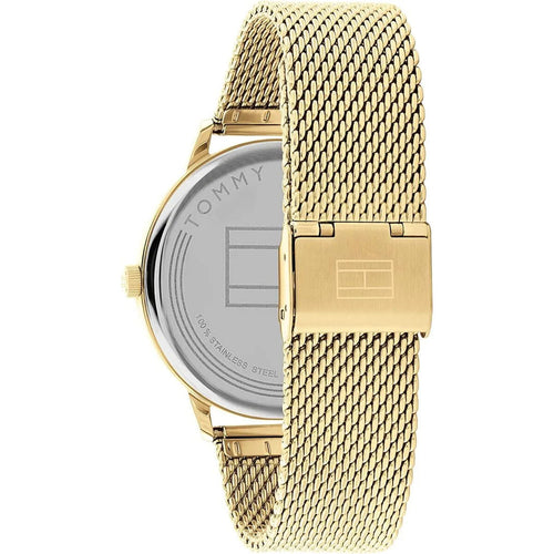 Load image into Gallery viewer, Men's Watch Tommy Hilfiger 1791877 (Ø 43 mm)-2
