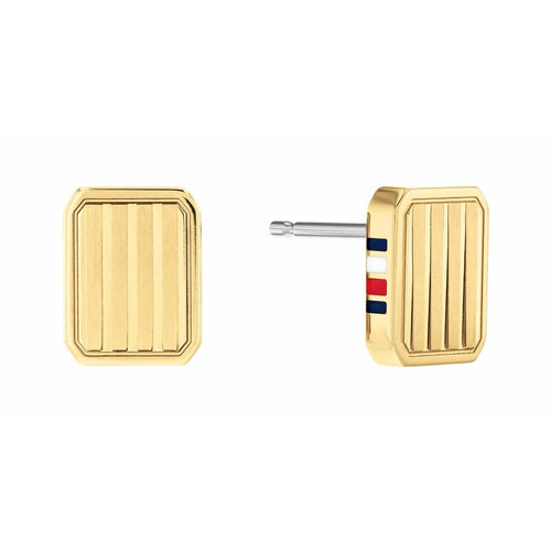 Load image into Gallery viewer, Ladies' Earrings Tommy Hilfiger 2780694 Stainless steel 1 cm-0

