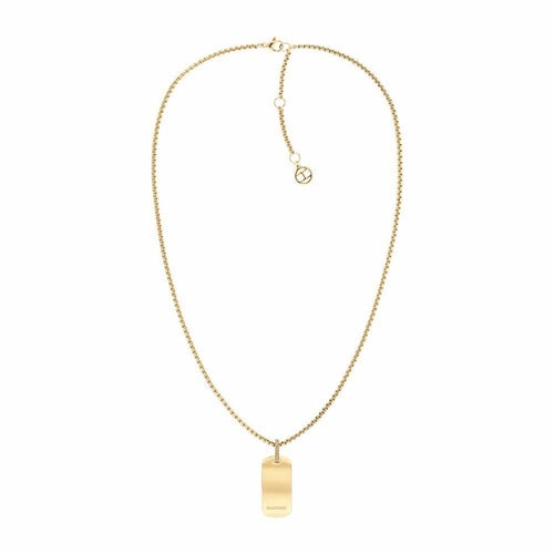 Load image into Gallery viewer, Ladies' Necklace Tommy Hilfiger 2780862 50 cm-0
