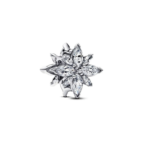 Load image into Gallery viewer, PANDORA Mod. 793591C01-0
