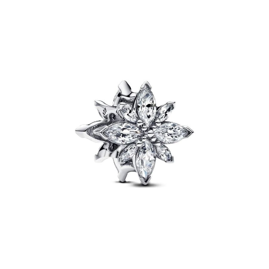 PANDORA Mod. 793591C01-0