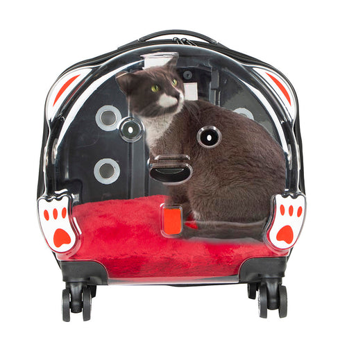Load image into Gallery viewer, ICE Pet Trolley Suitcase-0
