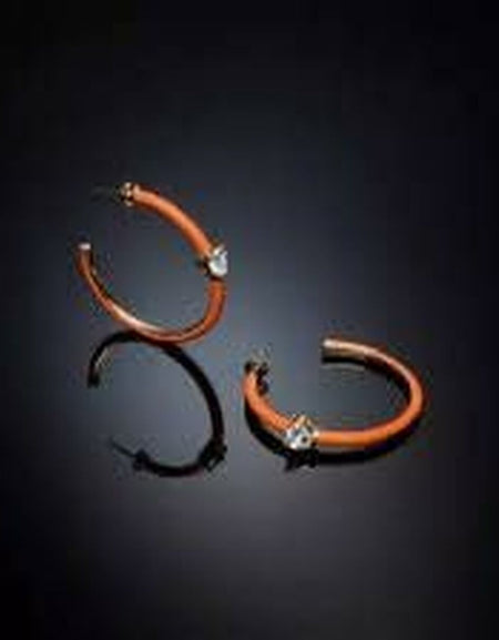 Ladies' Earrings Chiara Ferragni-1