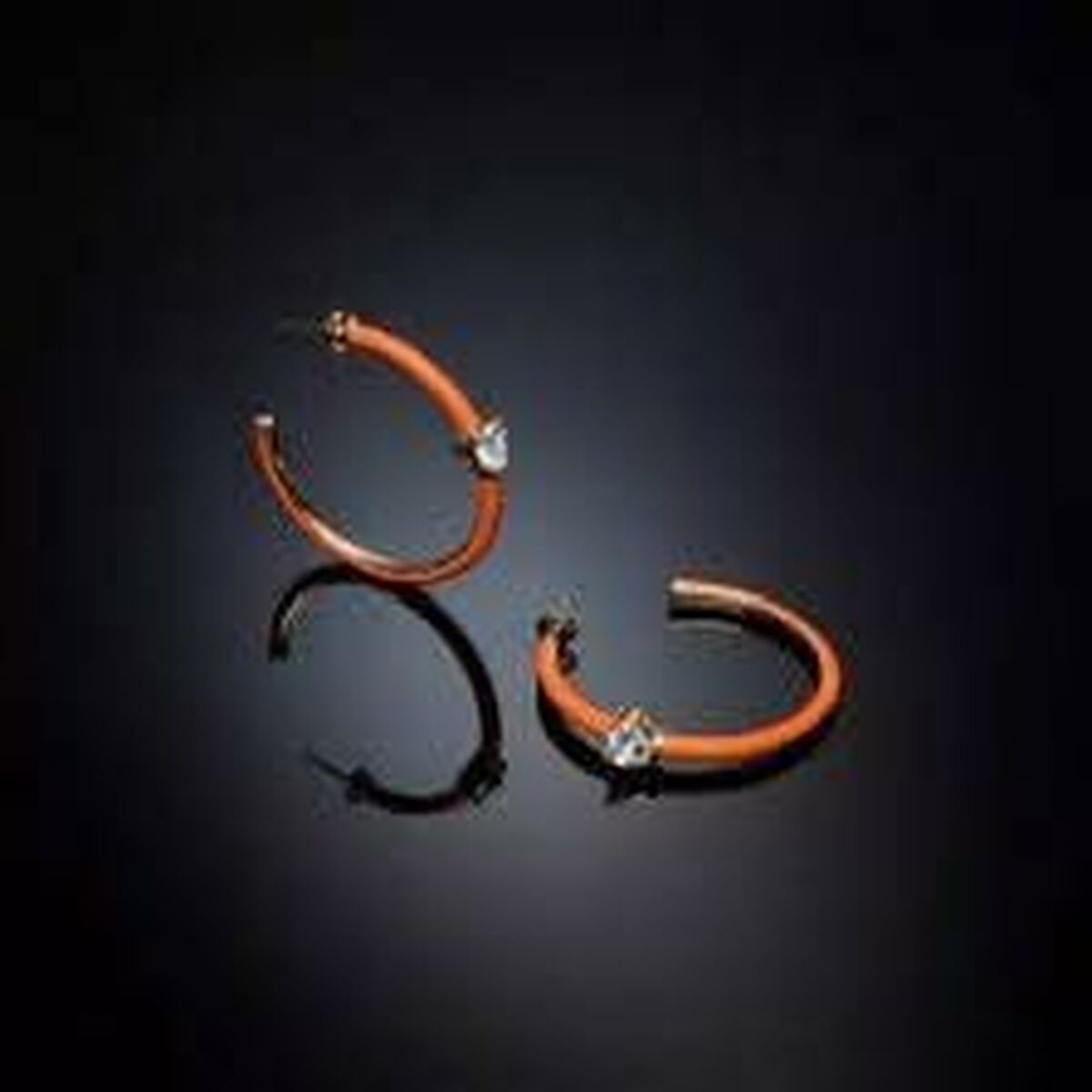 Ladies' Earrings Chiara Ferragni-1