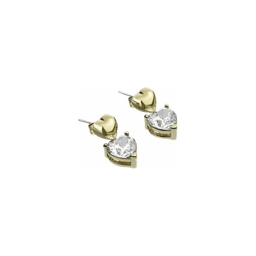 Load image into Gallery viewer, Ladies' Earrings Chiara Ferragni J19AWD04 Metal 1,8 cm-0
