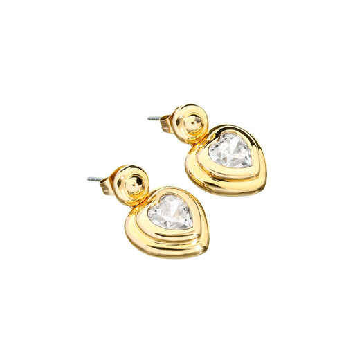Load image into Gallery viewer, Ladies' Earrings Chiara Ferragni J19AXP04-0
