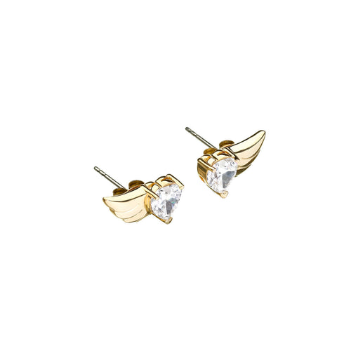 Load image into Gallery viewer, Ladies' Earrings Chiara Ferragni J19AVH07-0
