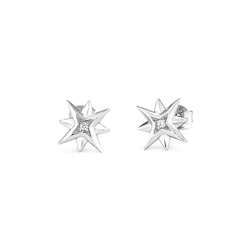 Load image into Gallery viewer, Ladies&#39; Earrings Radiant RY000032 Stainless steel 1 cm-0
