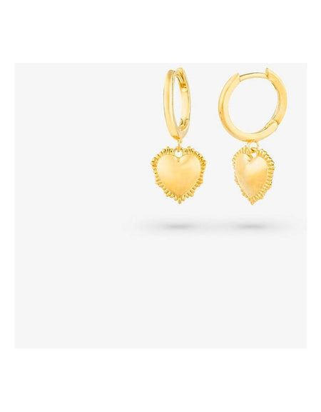 Ladies' Earrings Radiant RY000056 Stainless steel 2,5 cm-1