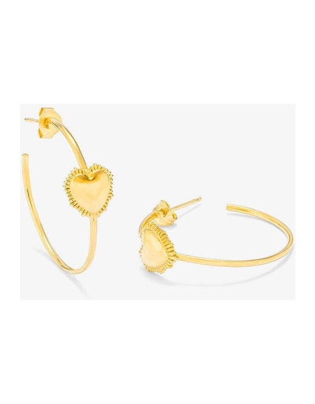 Ladies' Earrings Radiant RY000057 Stainless steel 3 cm-1