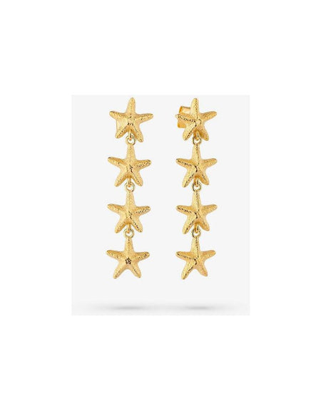 Ladies' Earrings Radiant RY000136 Stainless steel 4 cm-1