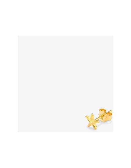 Ladies' Earrings Radiant RY000141-1