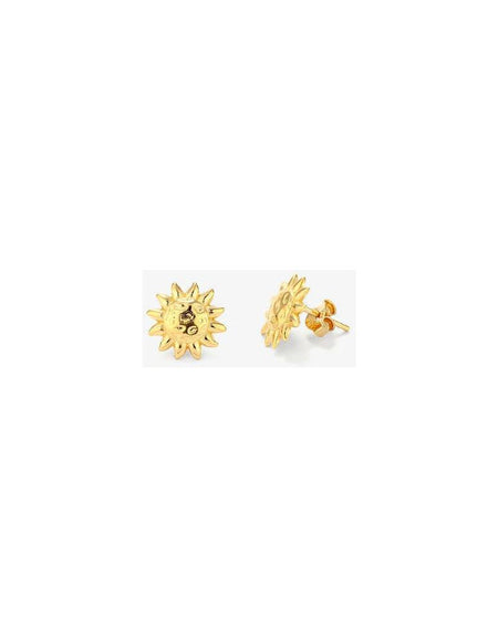 Ladies' Earrings Radiant RY000153 Stainless steel 1 cm-1