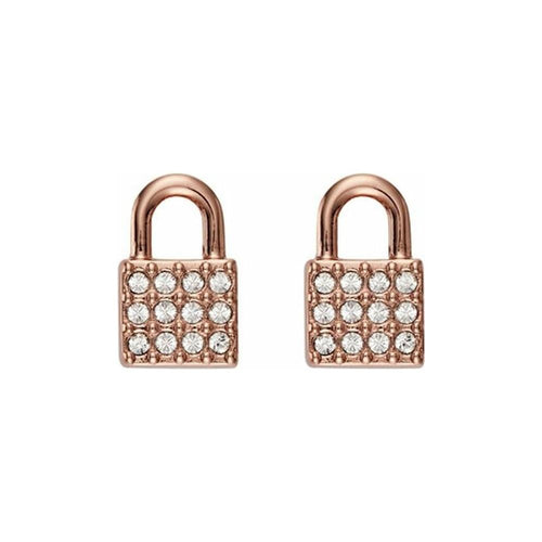 Load image into Gallery viewer, Ladies&#39; Earrings DKNY 5520121 1 cm-0
