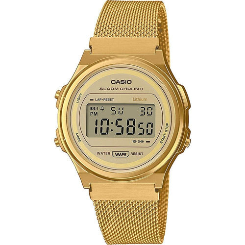 Load image into Gallery viewer, CASIO VINTAGE Mod. ROUND GOLD MESH-0
