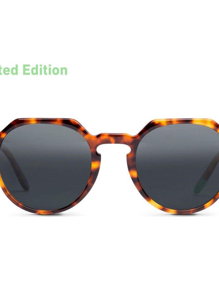 Chobe – Tortoise - SUN-0