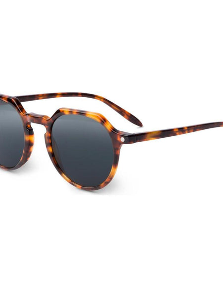 Chobe – Tortoise - SUN-1