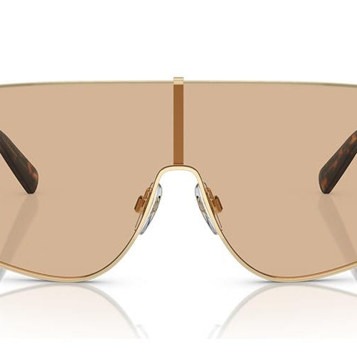 Load image into Gallery viewer, DOLCE &amp; GABBANA MOD. DG 2305-1
