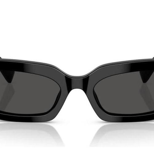 Load image into Gallery viewer, DOLCE &amp; GABBANA MOD. DG 4479-1
